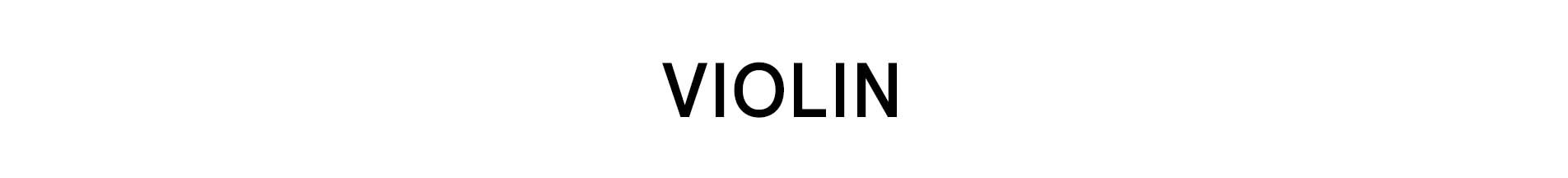 Violin