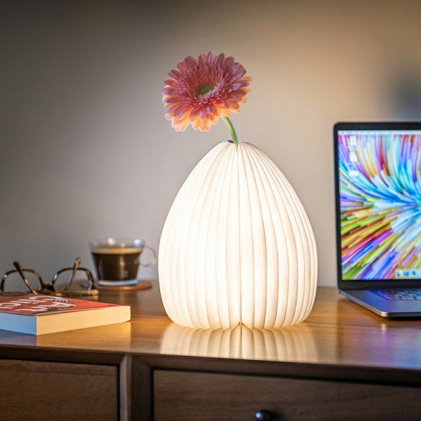 Smart Vase Light