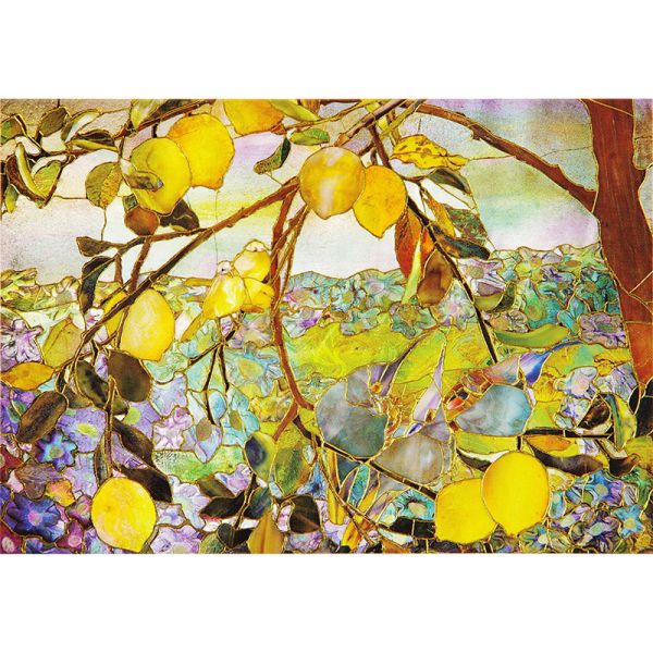 Tiffany Lemon Greeting Cards Boxed Set
