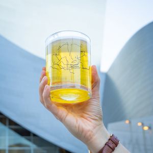 Walt Disney Concert Hall 20 Rocks Glass