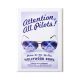 Hollywood Bowl Do Not Fly Magnet (Sunglasses)