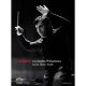 Zubin Mehta: Los Angeles Philharmonic (DVD)