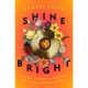 Shine Bright: A Very Personal History of Black Women in Pop